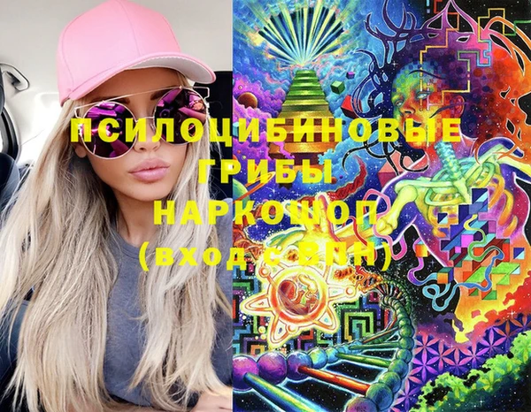 гашик Киренск