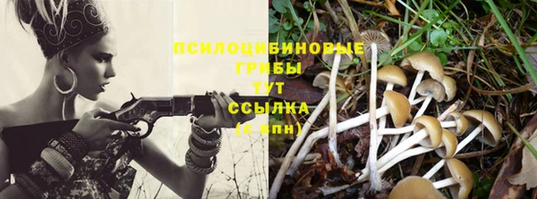 меф Касимов