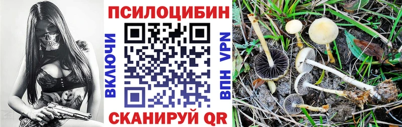Псилоцибиновые грибы мухоморы  Купить  Инта 
